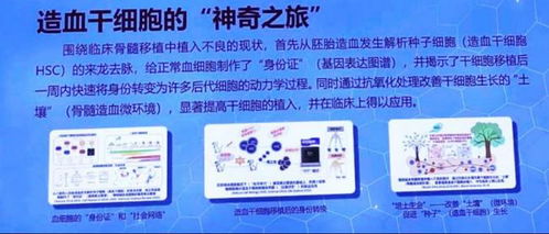 勇攀医学科技创新高地 中国医学科学院多项成果亮相国家 十三五 科技创新成就展