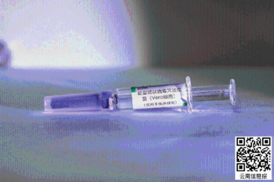 中国领跑新冠疫苗研发,已有3个疫苗获批进入临床试验