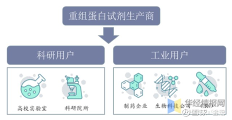 重组蛋白科研试剂的国内市场分析