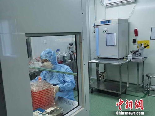 不用打针 鼻喷新冠疫苗进入临床试验 有何不同之处